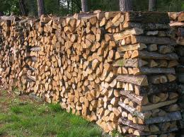 grande promotion de bois de chauffages à 30€  Image principale