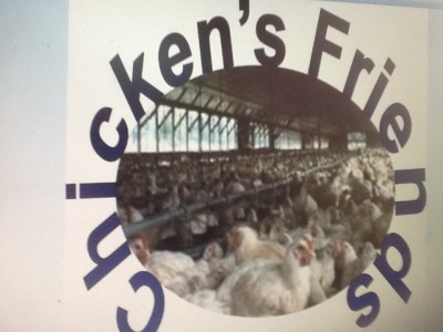 Poule de chair - Delmas, Hait? 