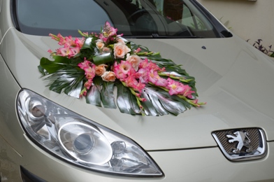 dream s car:location PEUGEOT 407 - tananarive, madagascar