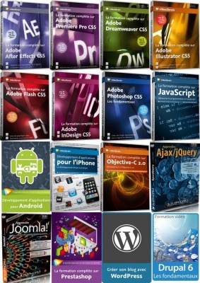 Formations completes en informatique sur DVD video fr - tana, mada