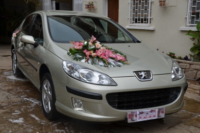 DREAM S CAR : location PEUGEOT 407 - Tananarive, Madagascar