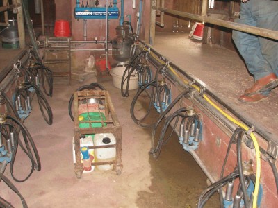 milking machine - Moramanga, madagascar