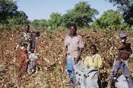 vente de mati&egrave;re premiere - ouidah, benin