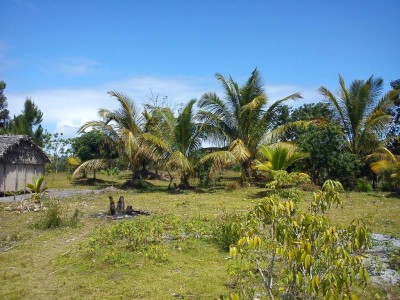 Terrain &agrave; vendre situ&eacute; &agrave; 26 km de Toamasina sur RN5 - Toamasina, Madagascar