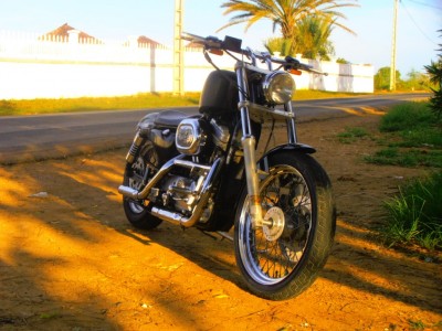 Vends Harley Davison Image principale