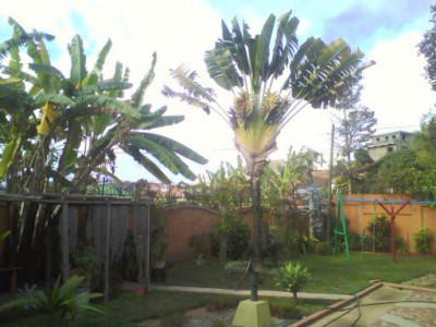 VILLA A LOUER ANALAMAHITSY - Antananarivo, Madagascar