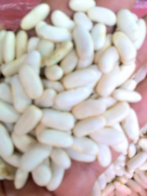 Mivarotra voamaina - TANANARIVE, MADAGASCAR