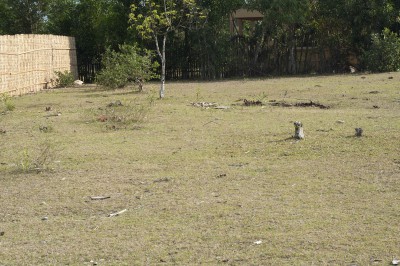 Vends terrain à tamatave Image principale