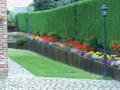 Pour vôtre Jardin Miniature 1