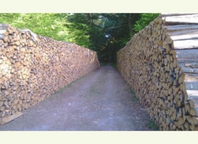 BOIS DE CHAUFFAGE 100% SEC Miniature 1
