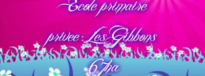 ecole les gibbons 67ha Miniature 1