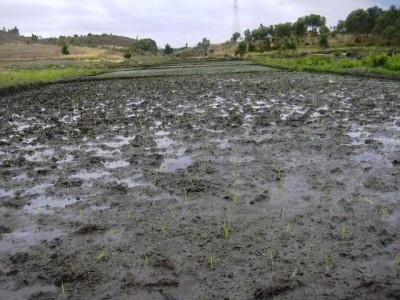 ferme de 12 ha vaches laiti?res Miniature 1
