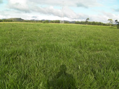 terrain 12 Ha Miniature 1