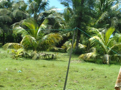TERRAIN A VENDRE MANAKARA Miniature 1