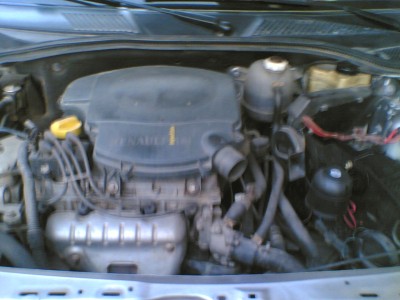 Clio RNA 1,4 Miniature 2