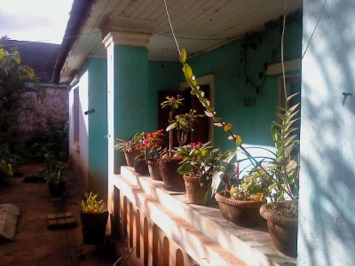 trano amidy Miniature 2