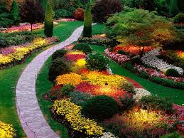 Tout le côté extérieur de vôtre propriété jardinmada@gmail.c Miniature 2