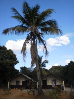 Location Villas chez Akanysoa Majunga Miniature 2