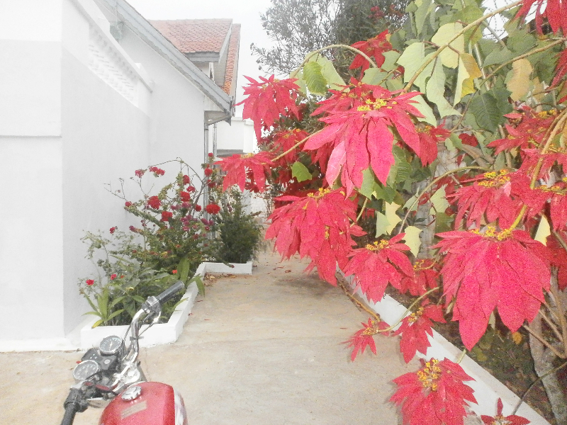 Villa a vendre andoharanofotsy Miniature 3