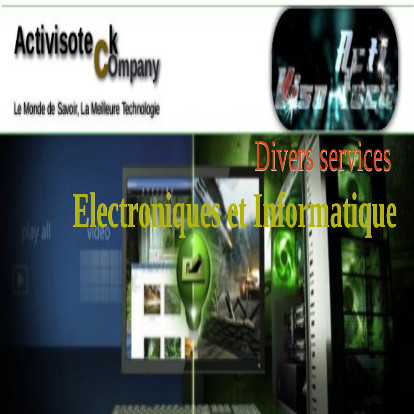 Services Electroniques et Informatiques - Antananarivo, Madagascar