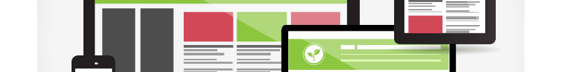 Conception de site Web Miniature 2