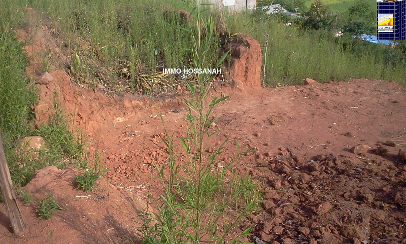TERRAIN A VENDRE A AMBOHIMANGAKELY Réf: VT 13075 - Antananarivo, Madagascar