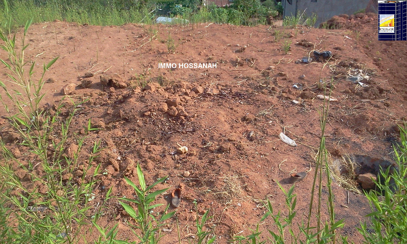 TERRAIN A VENDRE A AMBOHIMANGAKELY Réf: VT 13075 Miniature 3