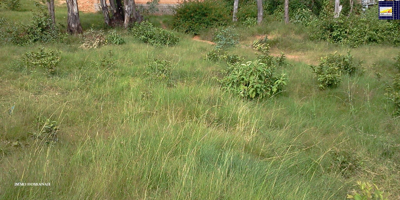 TERRAIN A VENDRE A ALASORA  Réf: VT 130456 - Antananarivo, MADAGASCAR