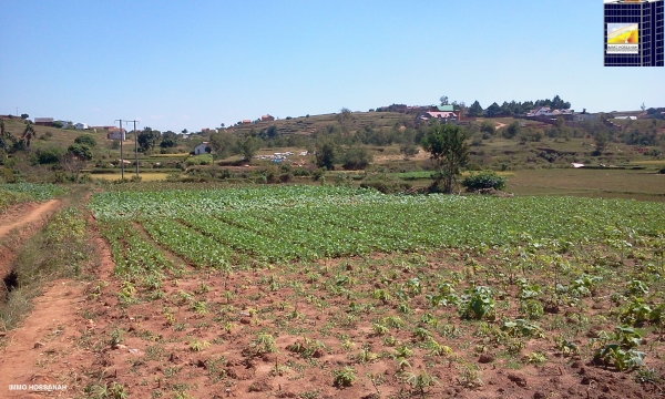TERRAIN A VENDRE A ALASORA Réf : 130256 - Antananarivo, Madagascar