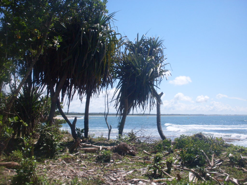 bord de mer-promotion : 25000ar le m2  - 15km Foulpointe Nord, Madagascar