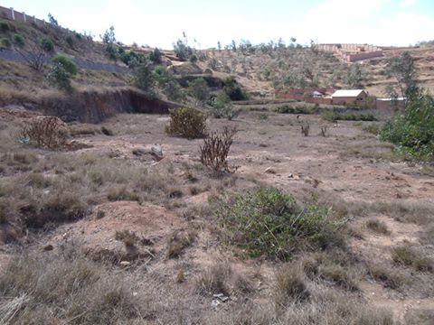 TERRAIN A VENDRE A ALASORA ref#1256 - antananarivo, madagascar