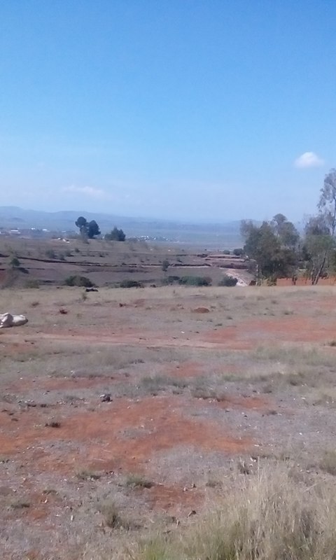 Terrain 4400m2 anosiala alakamisy Miniature 3