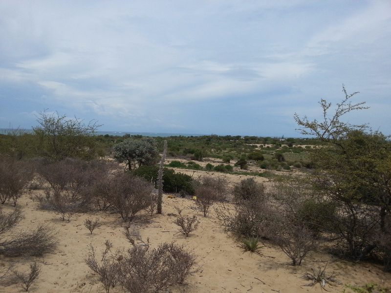 Terrain à vendre - Toliara, Madagascar