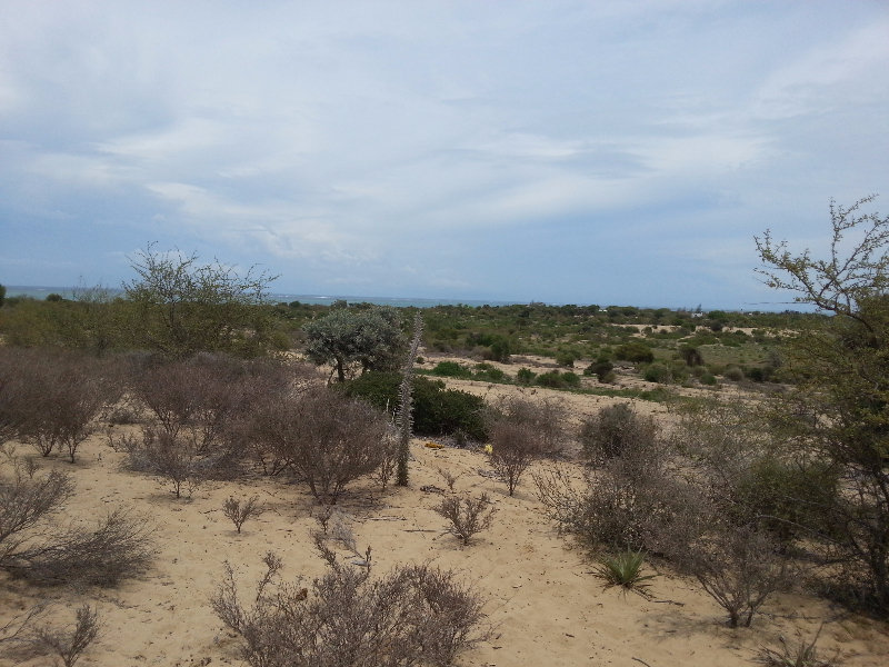Terrain à vendre à Ifaty (Toliara) - Tuléar, Madagascar