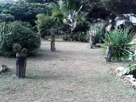 Vente de Beau propriété avec un Grand Villa à étage , Terrains , Rizière Miniature 2