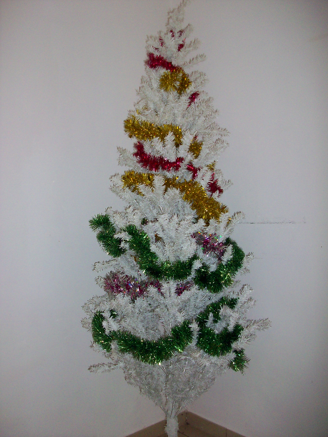 Vend Sapin de Noël - Antananarivo, Madagascar