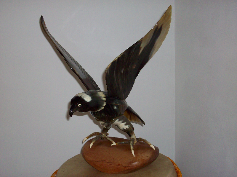 Vend Aigle en corne de zébu Miniature 1