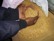 poudre d'or et linguot d'or en vente - cotonou, Benin