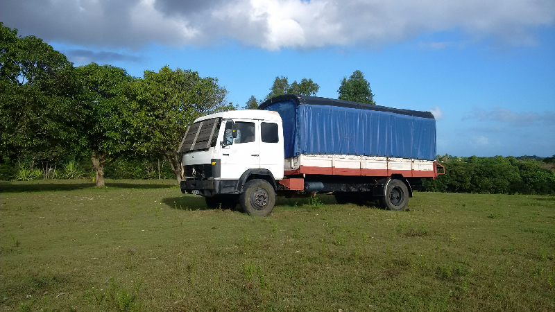 Camion Mercedes 1317 Miniature 1