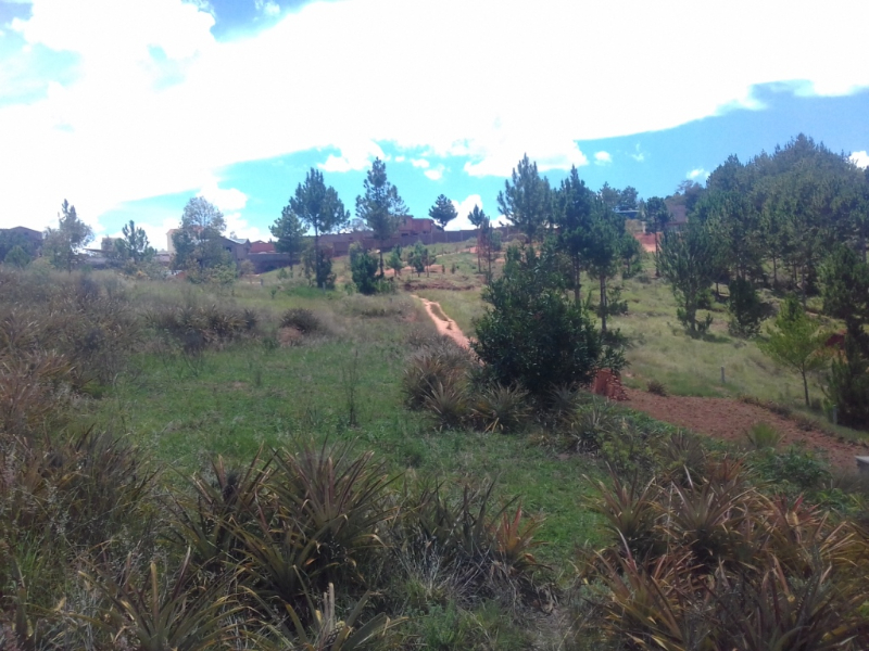 A VENDRE URGENT TERRAIN 884m2 Miniature 1