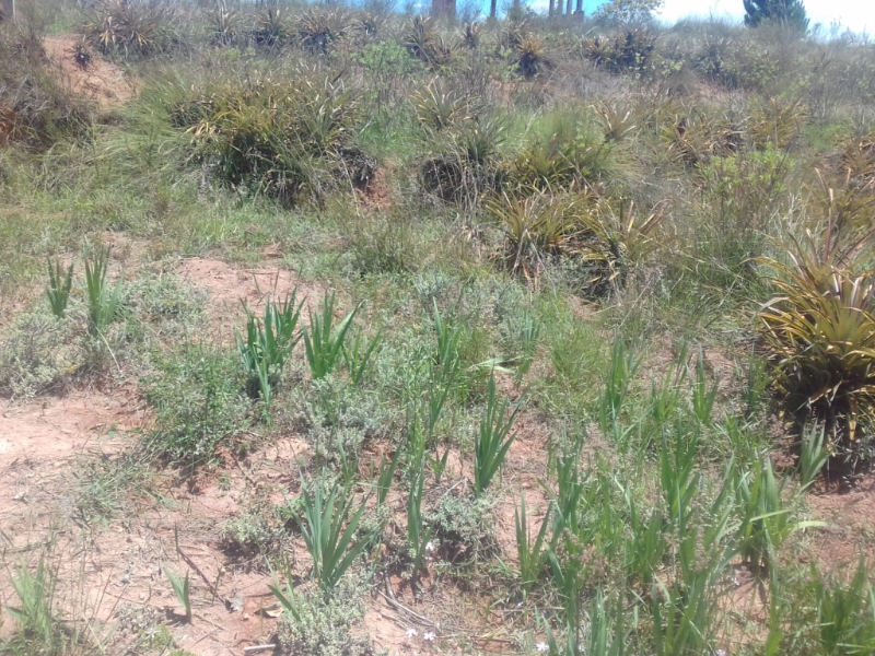 A VENDRE URGENT TERRAIN 884m2 - Tananarivo, Madagascar