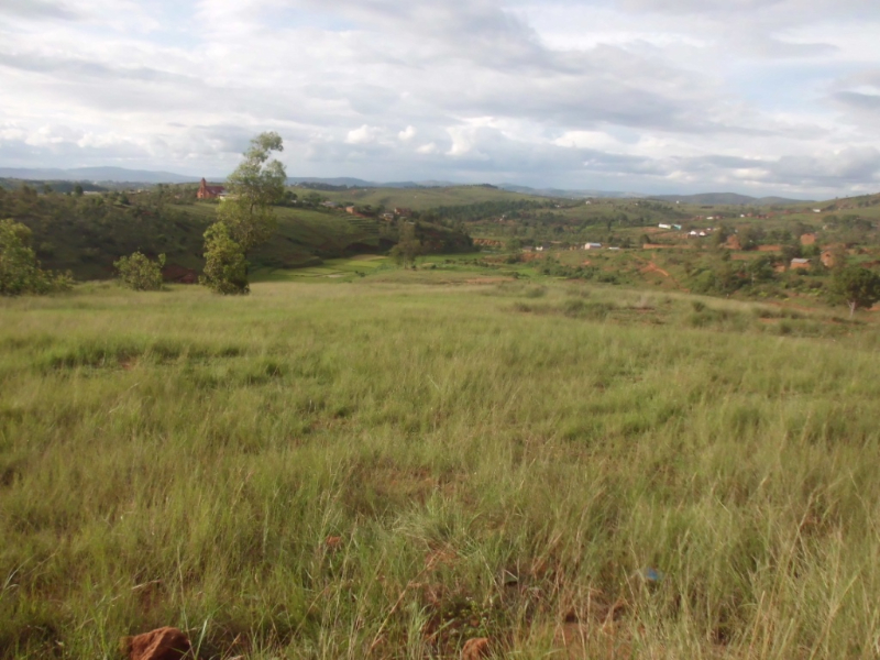 A VENDRE TERRAIN 3Ha Ikianja Avaratra Ambohimangakely - Tananarivo, Madagascar