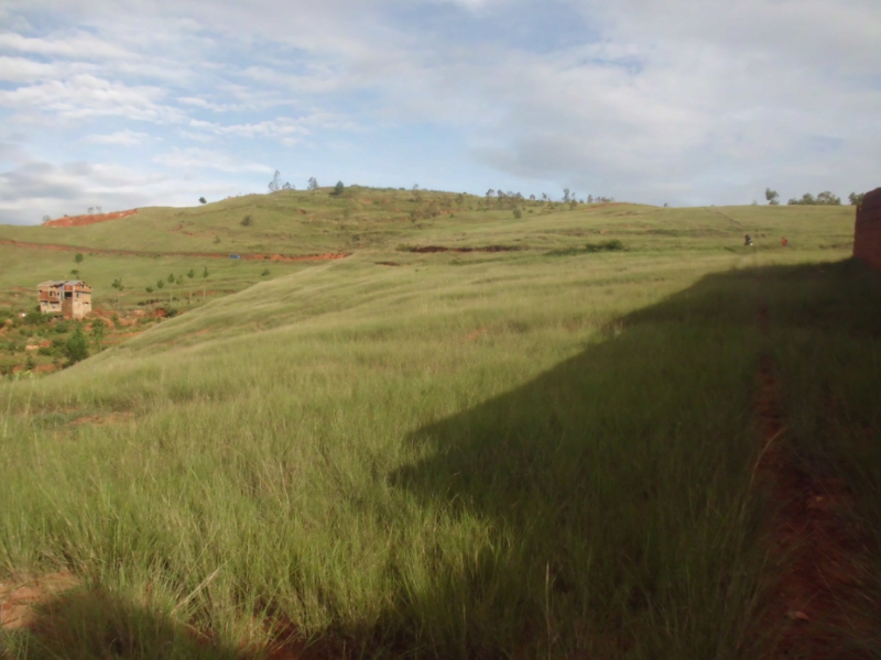 A VENDRE TERRAIN 3Ha Ikianja Avaratra Ambohimangakely Miniature 1