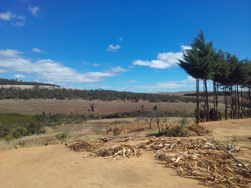 A VENDRE TRES URGENT TERRAIN 30 HA AVEC 2 MAISON   - Tananarivo, Madagascar