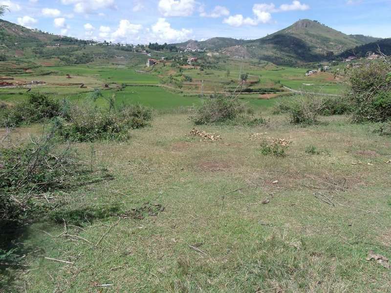TERRAIN A VENDRE A AMBANITSENA Ref#1525 - Antananarivo, MADAGASCAR