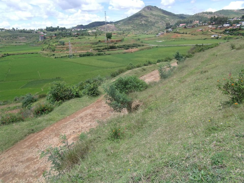 TERRAIN A VENDRE A AMBANITSENA Ref#1525 Miniature 1