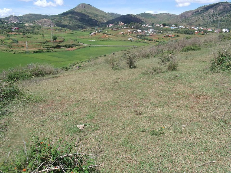 TERRAIN A VENDRE A AMBANITSENA Ref#1525 Miniature 2