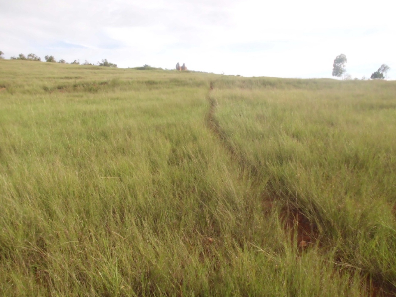 A VENDRE TERRAIN 3Ha ET 884 m2 à Ambohimangakely Miniature 1