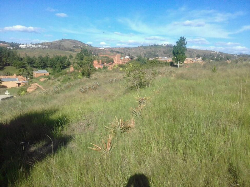 A VENDRE TERRAIN 3Ha ET 884 m2 à Ambohimangakely Miniature 3