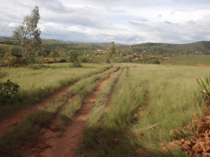 A VENDRE URGENT TERRAIN 884m2 et 3ha AMBOHIMANGAKELY Miniature 2